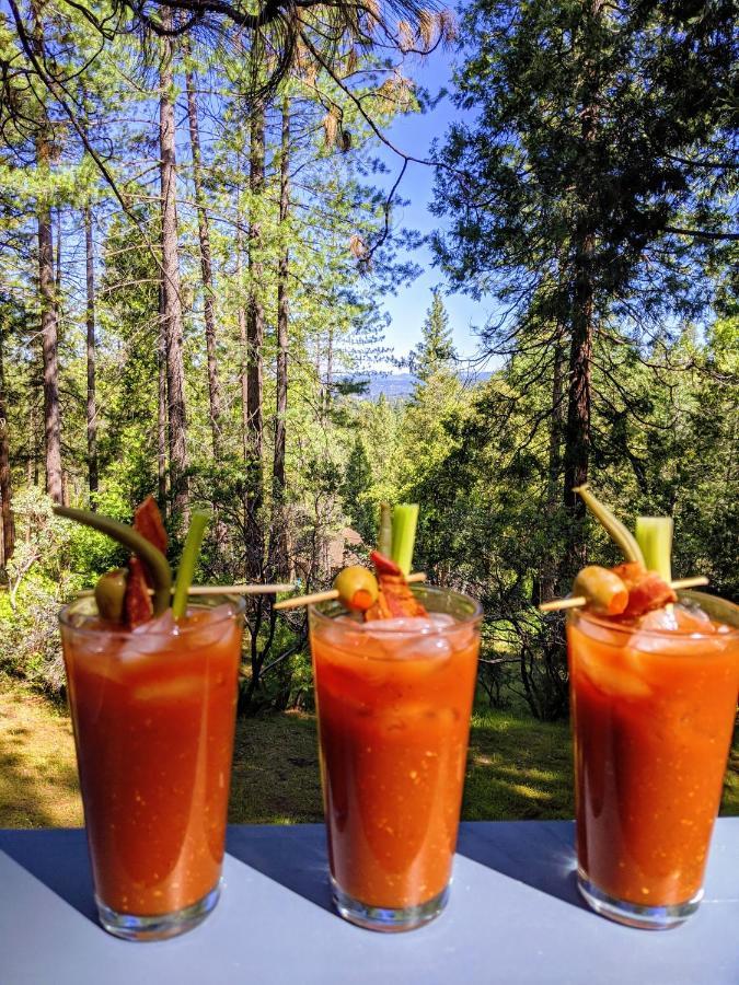Breckenridge Chalet Near Yosemite. Dog Friendly! Groveland Ngoại thất bức ảnh