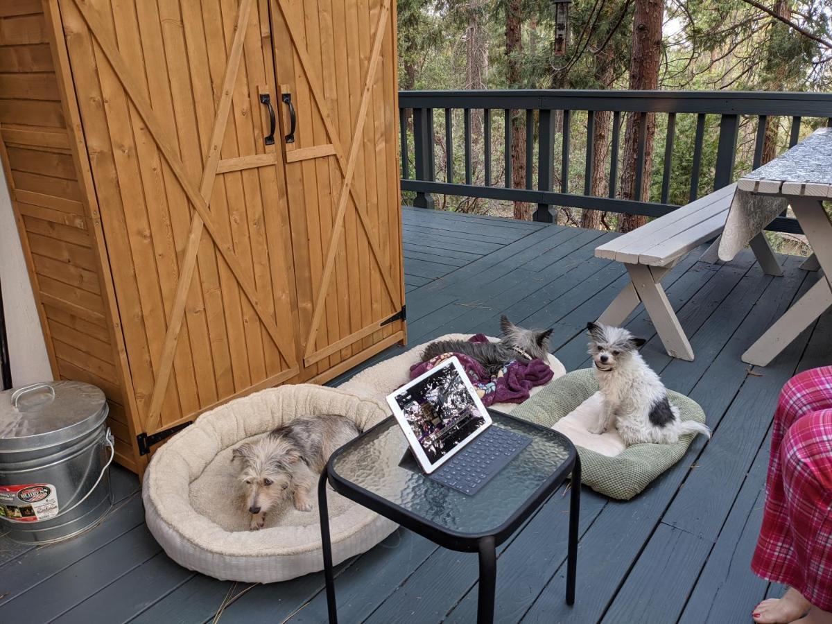 Breckenridge Chalet Near Yosemite. Dog Friendly! Groveland Ngoại thất bức ảnh