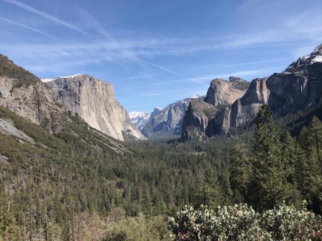 Breckenridge Chalet Near Yosemite. Dog Friendly! Groveland Ngoại thất bức ảnh